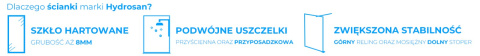 ŚCIANKA PRYSZNICOWA SH05G CZARNA 130 CM 8 MM